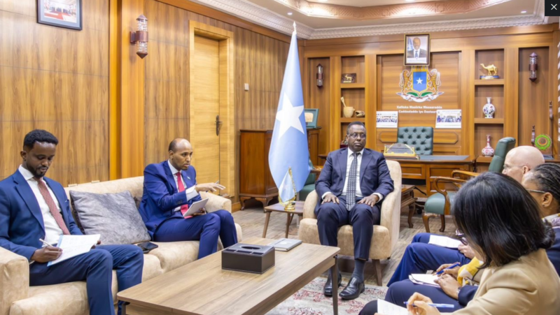 James Swan Constitution