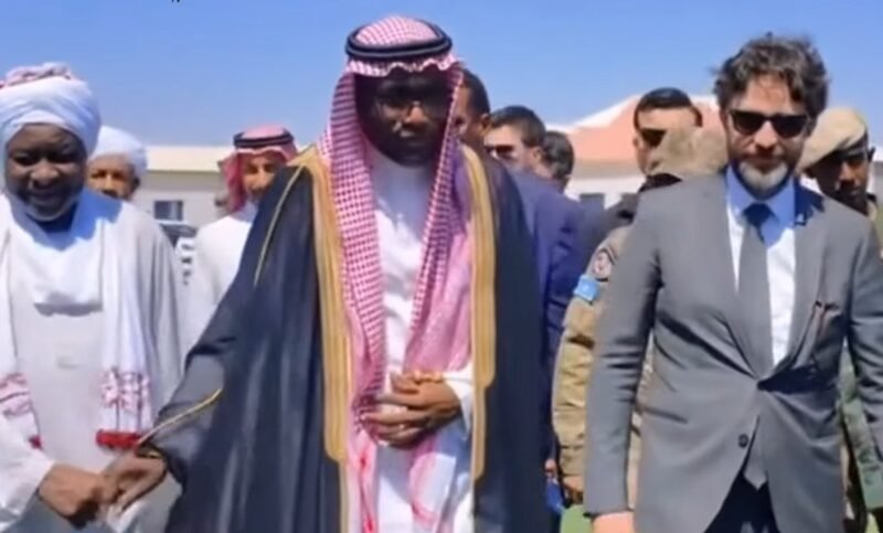 Saudi Arabia Turkiye and Sudan Las Anod