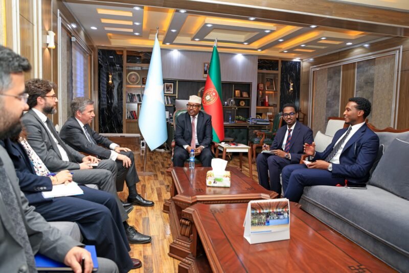 Türkiye Somali Ministry of Defence