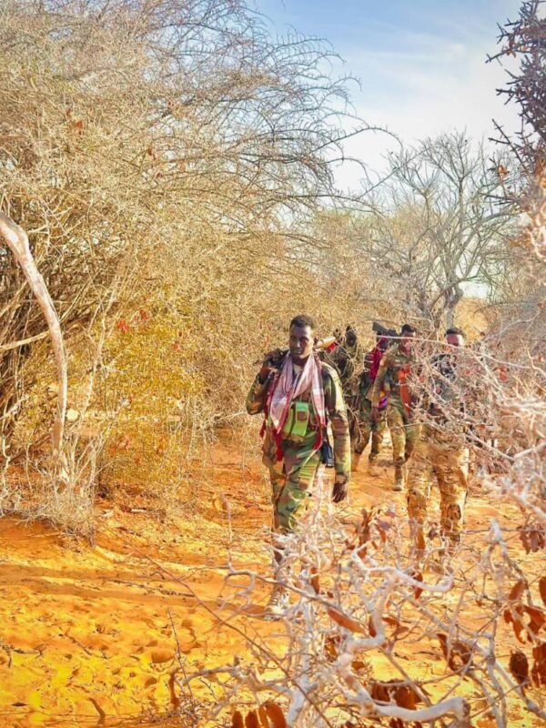 AlShabaab operation