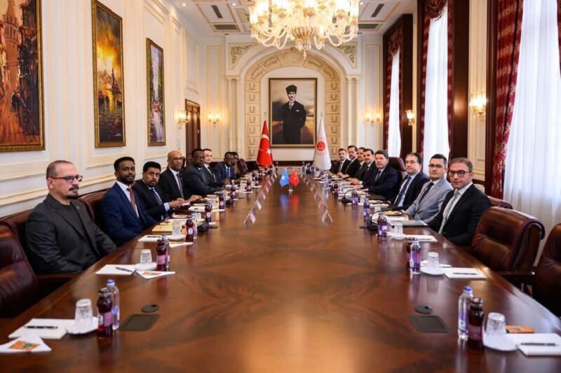 Turkiye Somalia Justice and Constitution