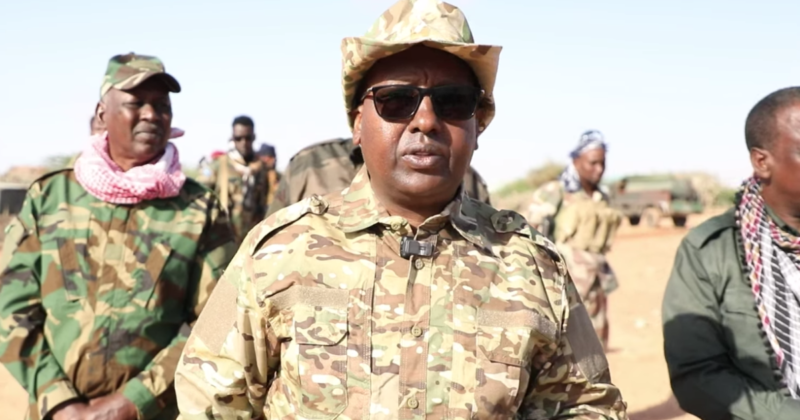 Minister of Defence Fiqi