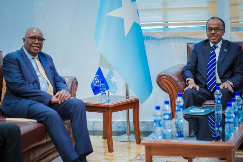 Raisedon Zenenga UNTMIS MFA Cali Balcad