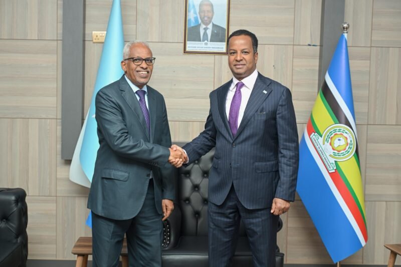Djibouti Ambassador MFA Somalia