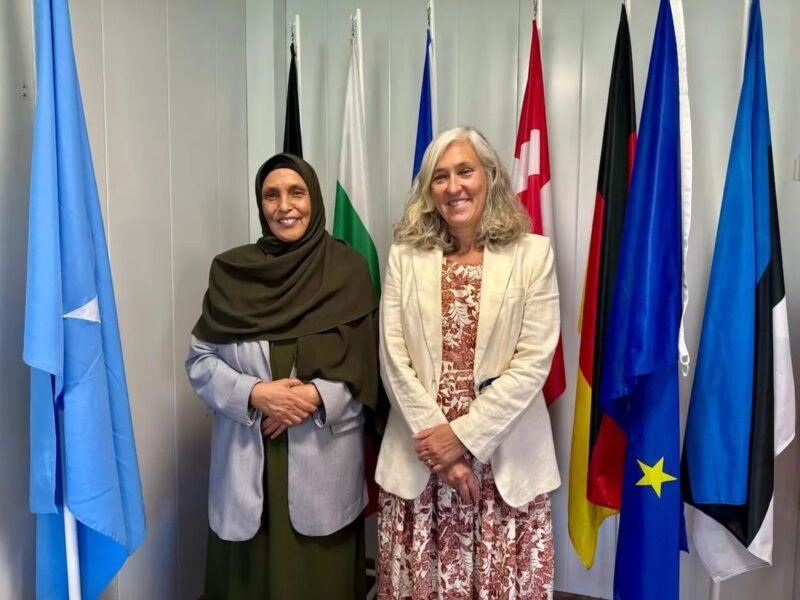 Human Rights and EU