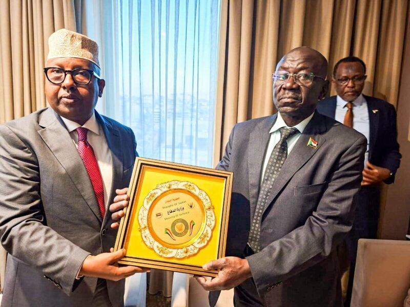 Minister of Defence Fiqi Sudan