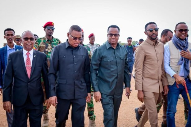 SWS interim leader visit Diinsoor