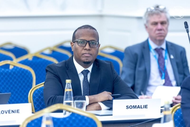 Somalia Telecom Turkiye