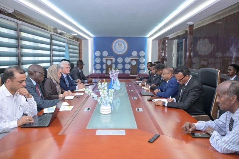 UNDP MFA Somalia