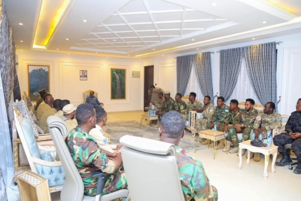 Somali president HSM in Jowhar Hirshabelle