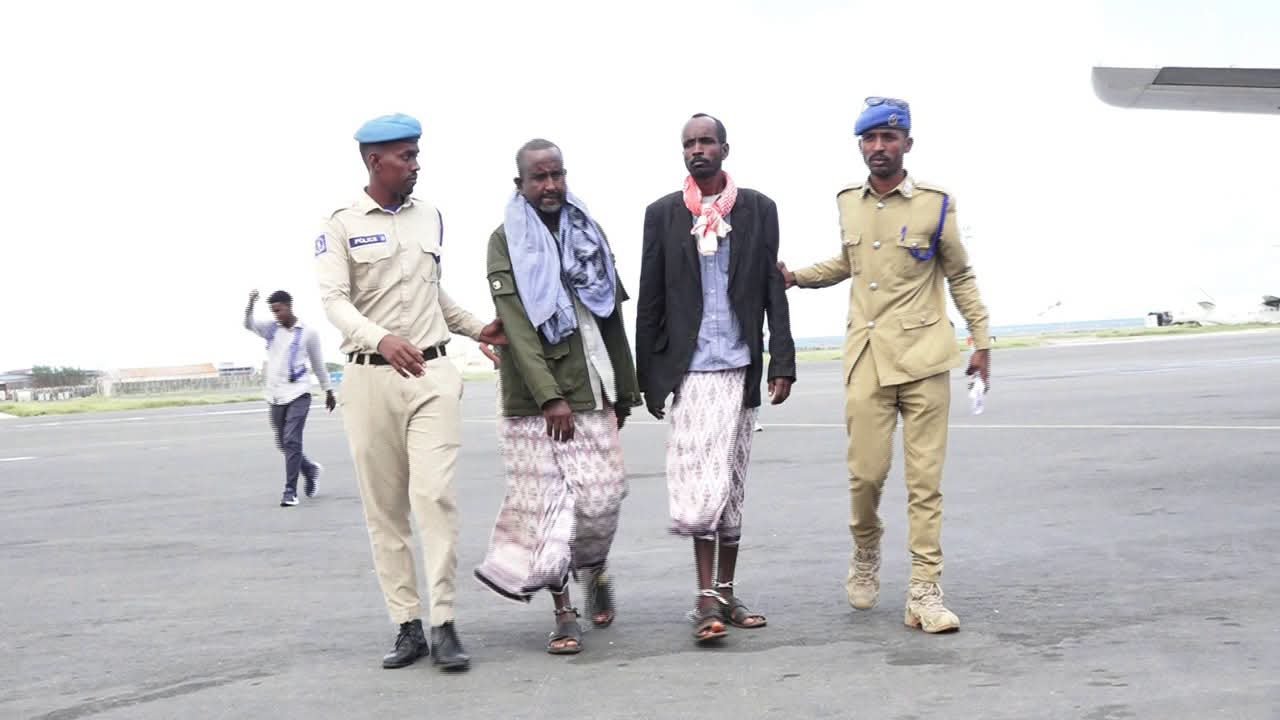 NISA arrests