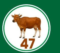 Political Party