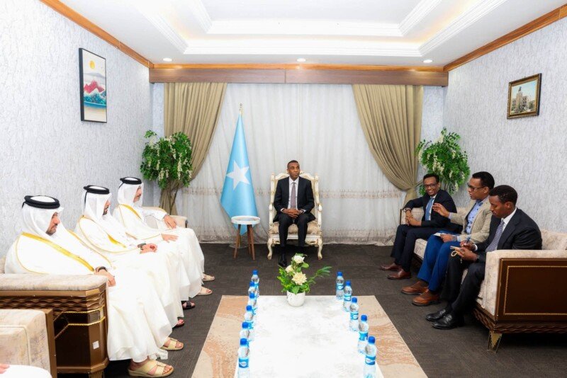 PM Hamza Qatar delegation