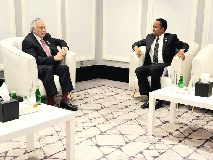 Somalia Pakistan meeting