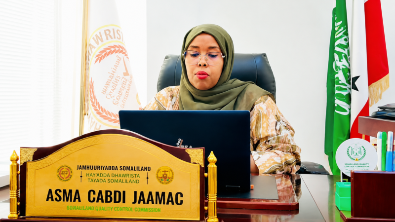 Somaliland Health