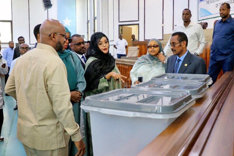 Speaker Election Inspection