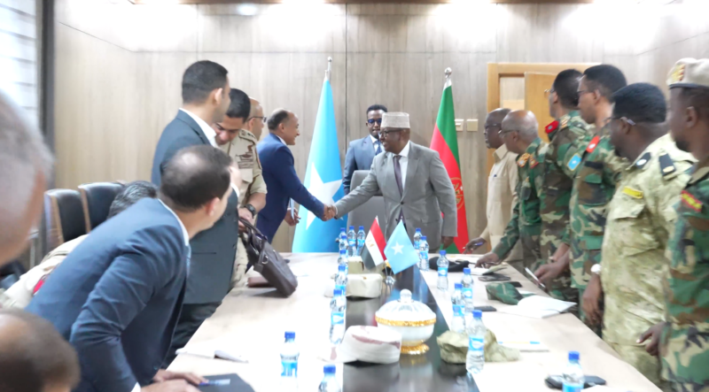 Egypt delegation MoD Fiqi