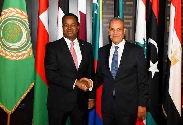 MFA Somalia and Egypt