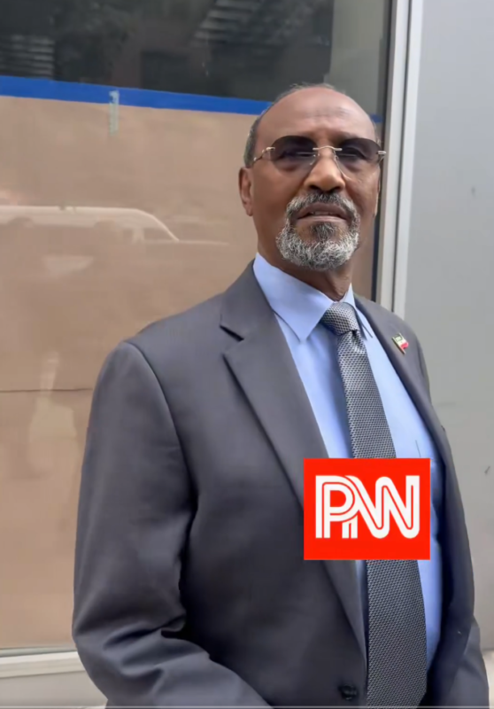 Somaliland PNN Free Palestine2