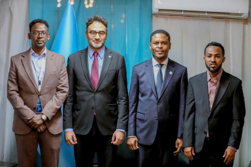 Turkiye somalia disinformation