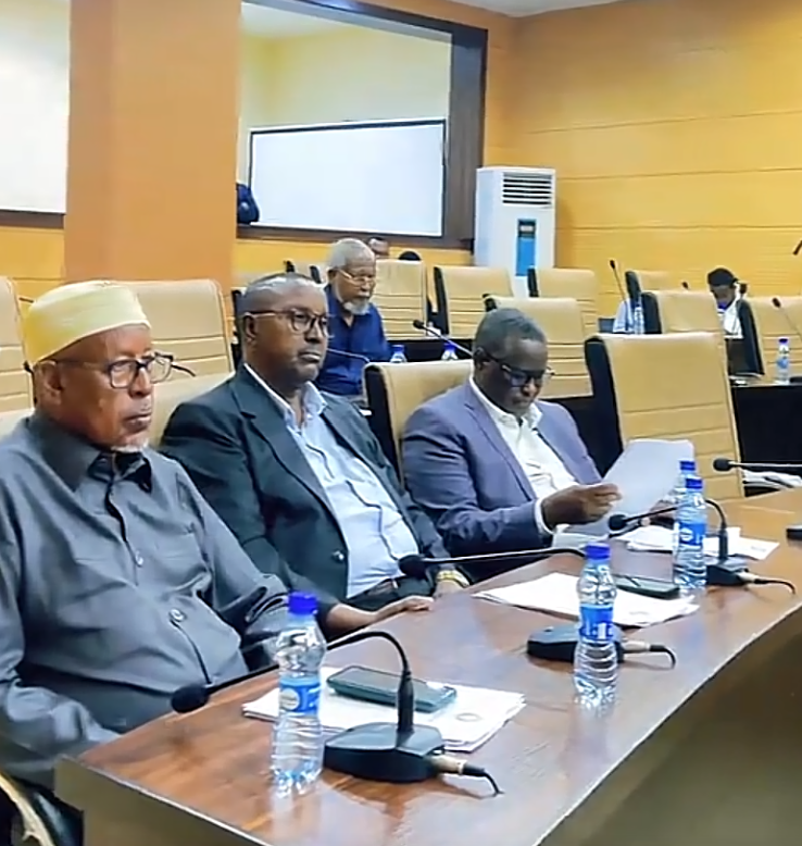 Upper House mining bill