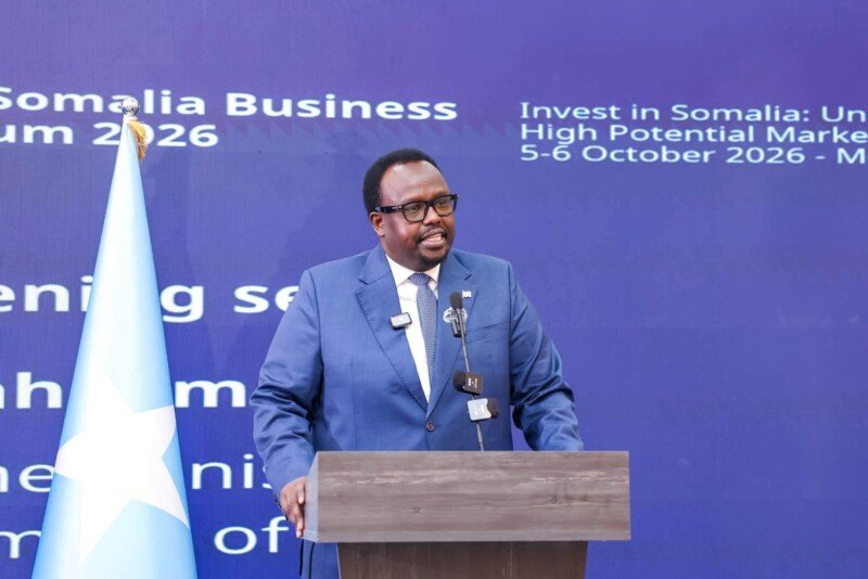 DPM Salah Jama EU Somalia Business